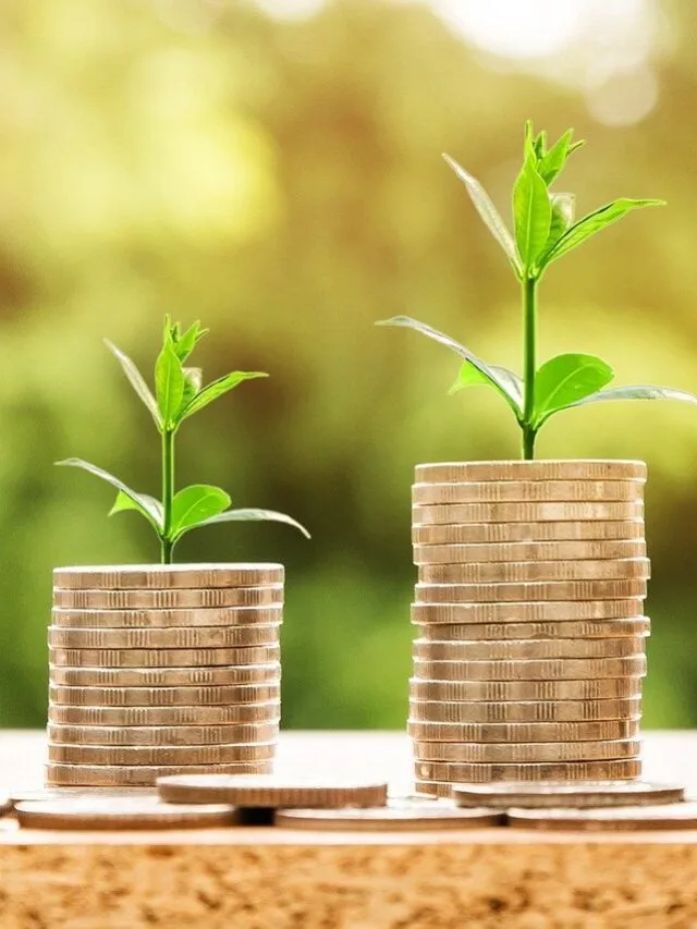 O método silencioso que tira o investidor do vermelho e leva ao primeiro aporte