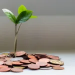 VGIA11: Fiagro lucra mais de R$ 12,8 milhões e paga dividendos de CDI+5,7%