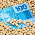 SNAG11 mantém proventos e bate alta de 23,6% em 12 meses