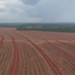 SNFZ11 mantém R$ 0,10 por cota pelo sétimo mês seguido