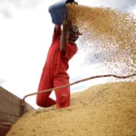 RZAG11 marca recorde e eleva confiança com R$ 0,15 por cota