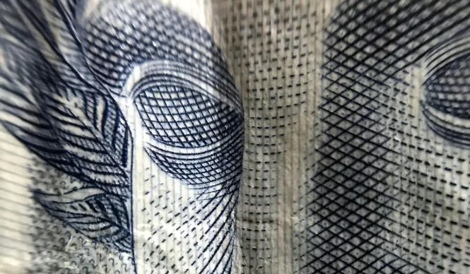 KNCR11, KNSC11e RPRI11 e outros FIIs pagam proventos; saiba mais - Foto: Pexels