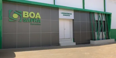 Boa Safra (SOJA3) despenca mais de 10% após resultados do 4T; entenda