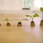 Juros compostos: quanto R$ 100 por mês podem virar em 10, 20 e 30 anos