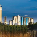 Bank of America corta Suzano (SUZB3) e vê fim do ciclo da celulose; entenda