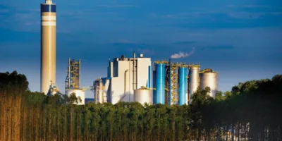 Bank of America corta Suzano (SUZB3) e vê fim do ciclo da celulose; entenda