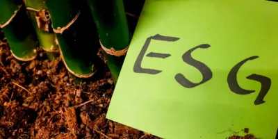 Sustentabilidade paga? BTG monta carteira e aposta que ESG pode gerar dividendos