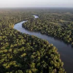 Petrobras (PETR4) e BNDES unem forças para explorar minerais estratégicos