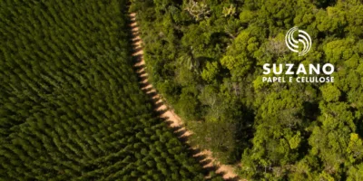 Suzano (SUZB3) quer reduzir dívida a US$ 11 bilhões e prevê dividendo mínimo; entenda o plano
