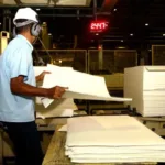 Etanol de milho pode elevar disputa por madeira usada em papel e celulose, diz Itaú BBA
