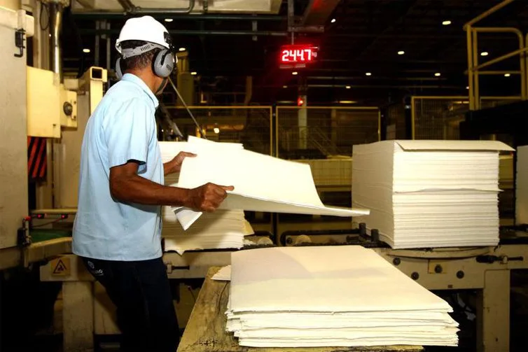 Expansão do etanol de milho pode aumentar a disputa por madeira usada na produção de celulose.