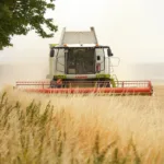 Terra é o ativo que não deprecia? O que o investidor precisa entender sobre o crédito do agro