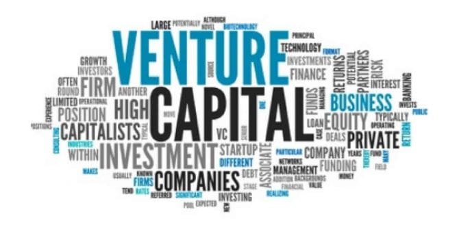 Venture Capital: modalidade de investimento que dá suporte as startups