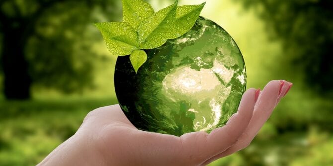 Sustentabilidade empresarial: saiba mais sobre esse conceito