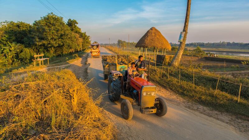 LCA: como investir em uma Letra de Crédito do Agronegócio?