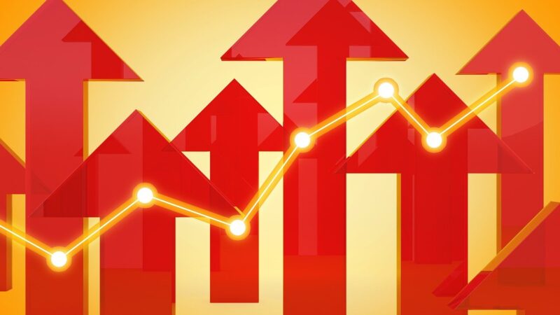 Growth Stocks: como encontrar ações com potencial de crescimento?