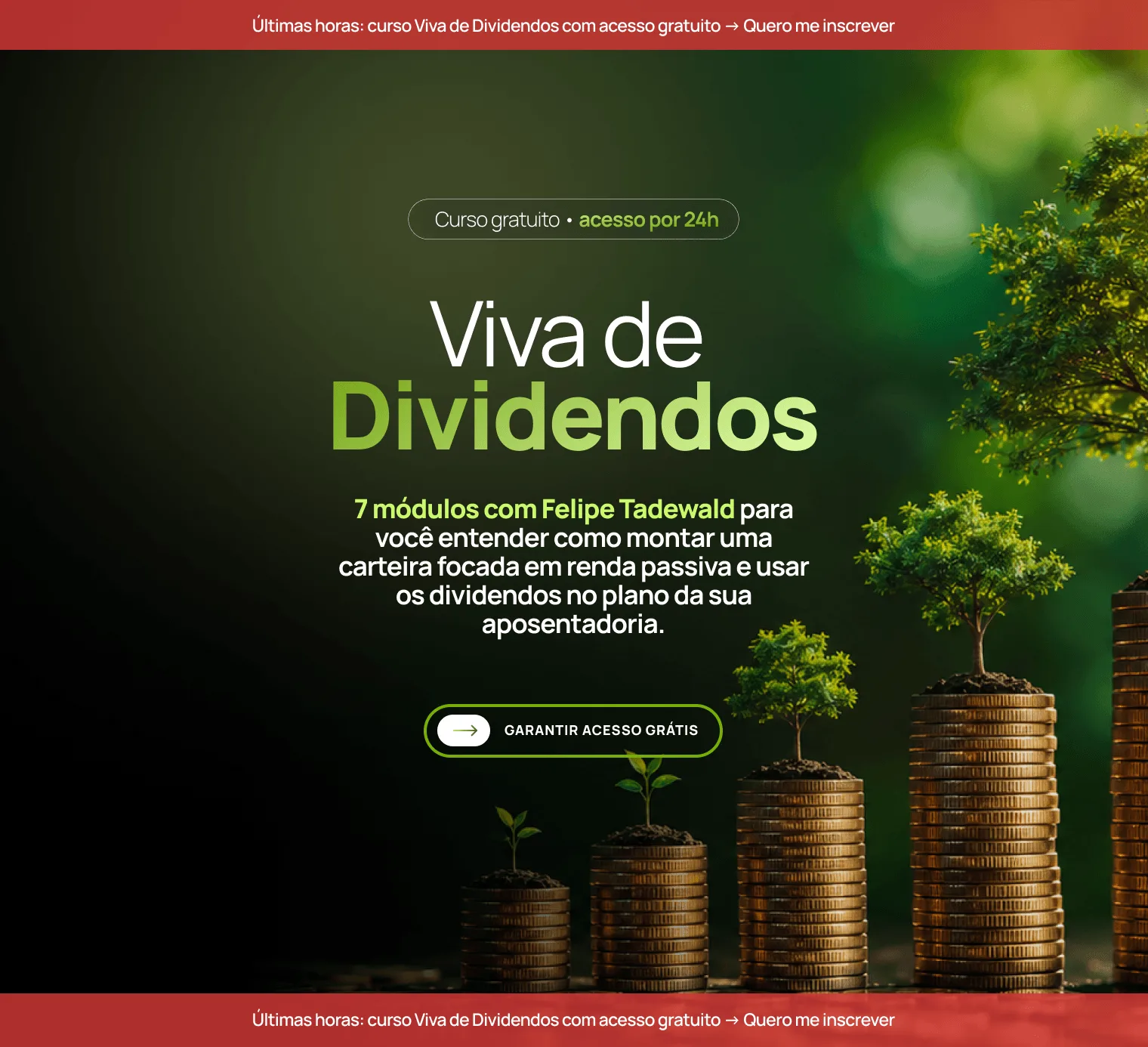 Suno: Distribuição Curso Viva de Dividendos