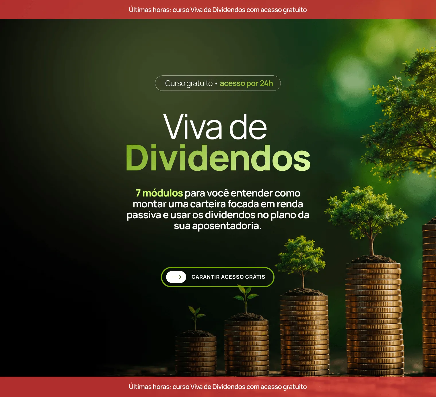 Suno: Distribuição Curso Viva de Dividendos