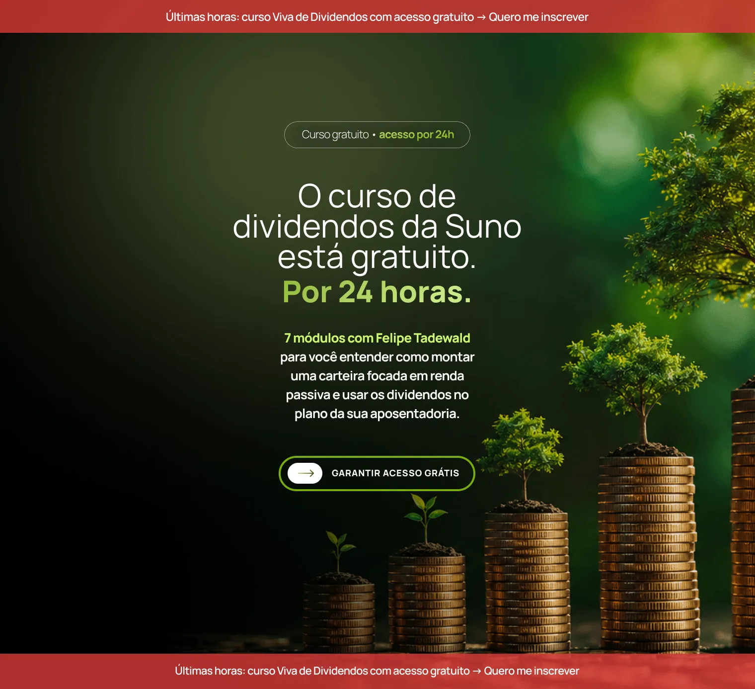 Suno: Distribuição Curso Viva de Dividendos