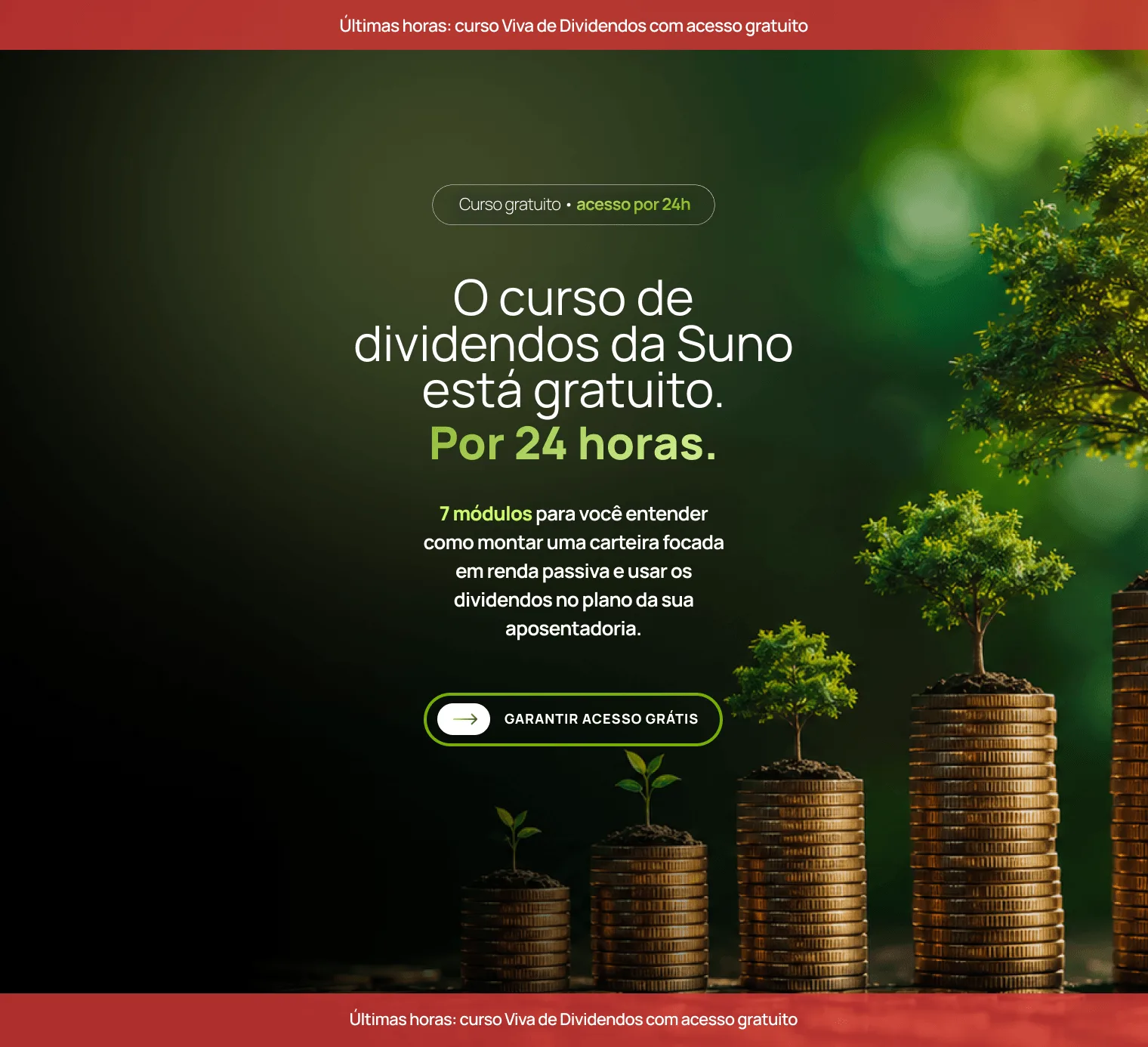 Suno: Distribuição Curso Viva de Dividendos