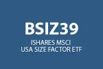 ticker BSIZ39