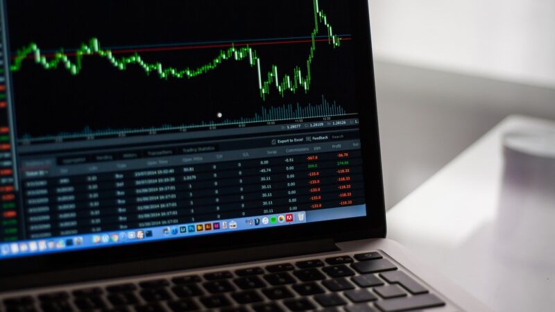 Carteira de investimentos para iniciantes: como montar um portfólio diversificado