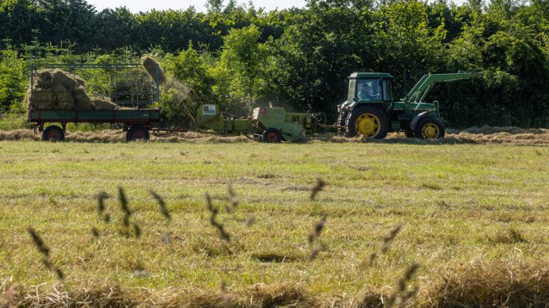 Fiagro: o que são e como investir no agronegócio