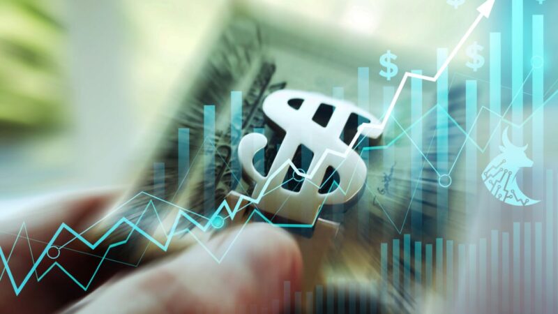 ALZR11 distribui 2º maior dividendo de sua história e divulga lucro milionário; confira valores