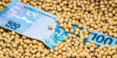 SNFZ11: Fiagro paga dividendos de 13% ao ano; confira valor