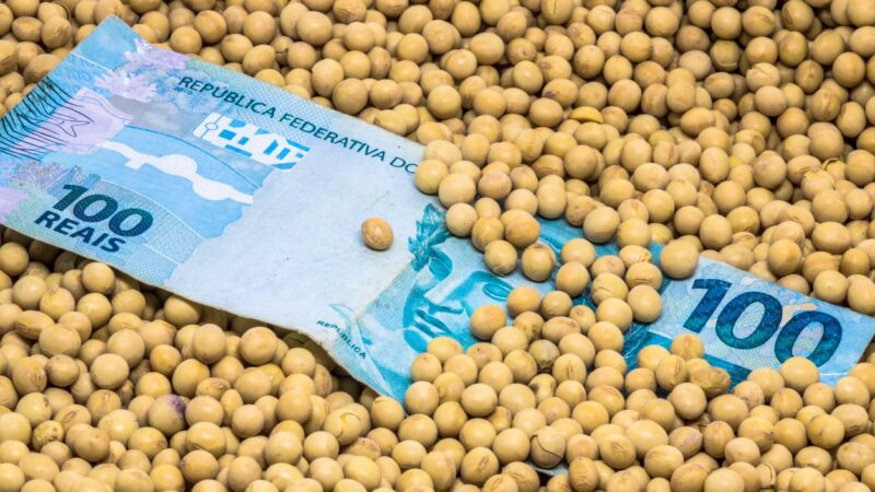 SNFZ11: Fiagro paga dividendos de 13% ao ano; confira valor