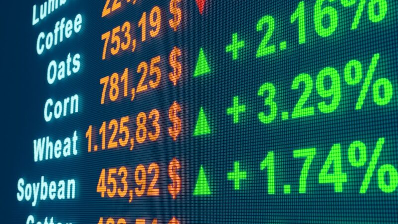 HGLG11 anuncia resultado 33,9% maior e vacância atinge menor nível desde 2017