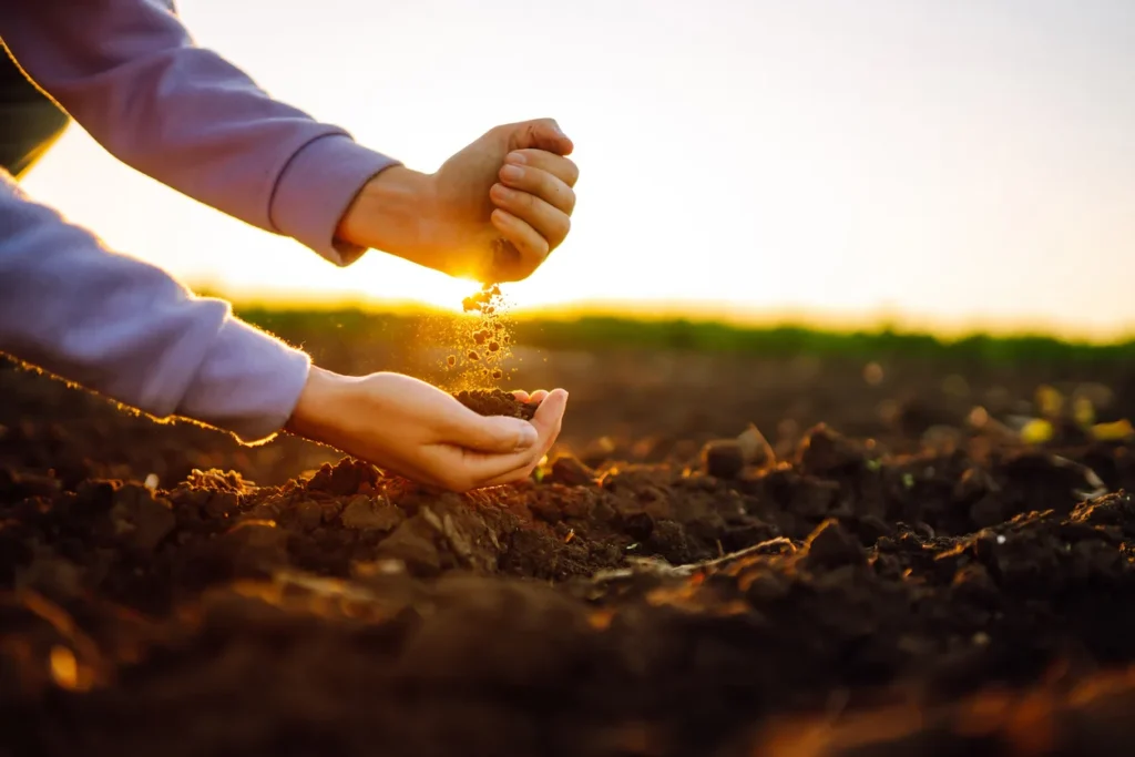 SNAG11, Fiagro da Suno Asset com foco em investimentos no crédito privado agrícola, bateu seu recorde de liquidez neste ano,