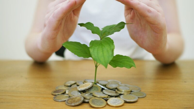 CPTS11 crava melhor resultado em 14 meses; confira valor e dividendos do mês