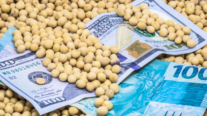 SNAG11 bate máxima histórica e liquidez de R$ 3 milhões; confira detalhes