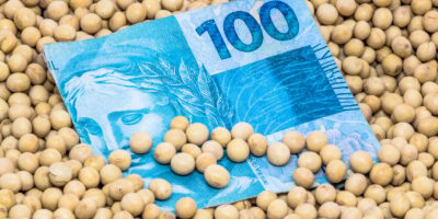 SNAG11: Fiagro anuncia dividendos de 1,25% ao mês; veja quanto