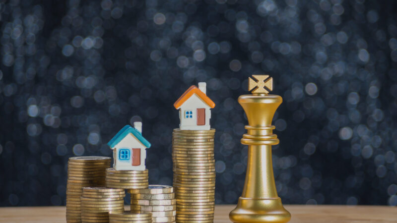 RBVA11 aumenta lucro em 24,8% e detalha estratégia de vendas