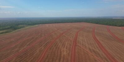 SNFZ11 divulga dividendos de quase 1% ao mês; confira o valor e quem vai receber