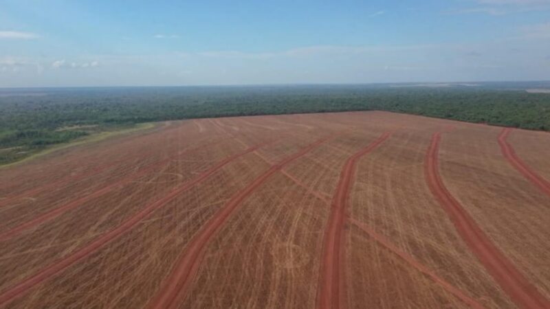 SNFZ11 divulga dividendos de quase 1% ao mês; confira o valor e quem vai receber