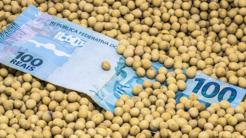 SNFZ11: Fiagro mantém dividendos e retorno será de 1,01%