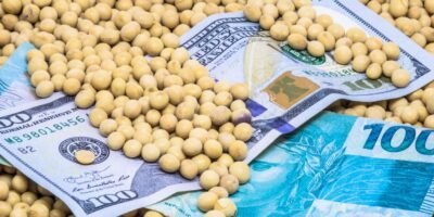 SNAG11 renova máxima e supera 20% de alta no valor de mercado em 2025