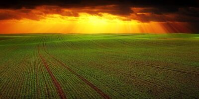 OIAG11 lucra R$ 1,18 milhão, paga dividendos acima de 1% ao mês e reforça reserva; veja