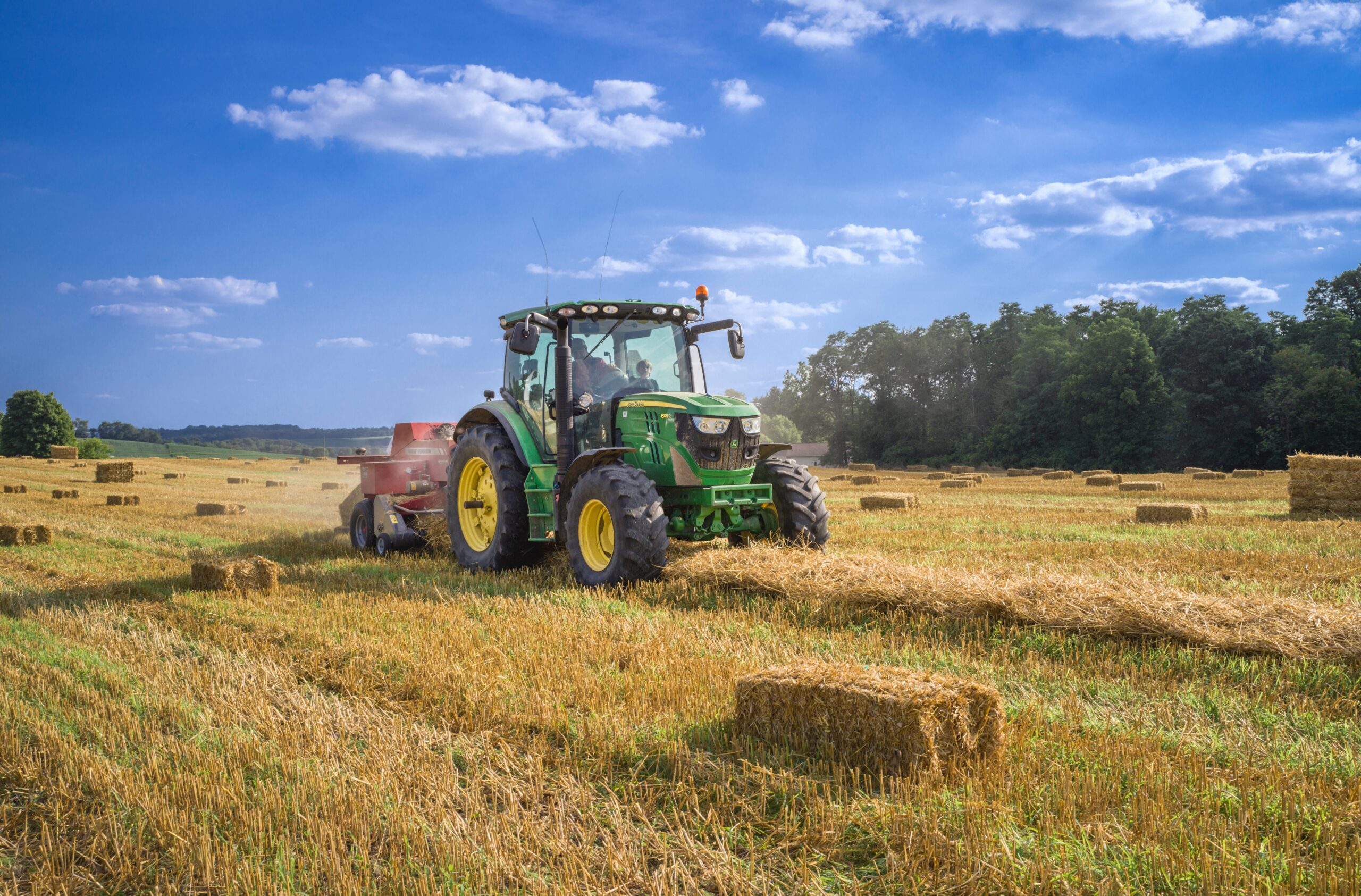 Fiagro da Suno vai pagar dividendos de 1,28%; saiba quanto