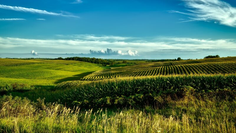 SNFZ11 tem lucro 93% maior e bate novo recorde de cotistas; veja números do mês