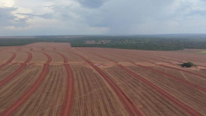SNFZ11 mantém R$ 0,10 por cota pelo sétimo mês seguido