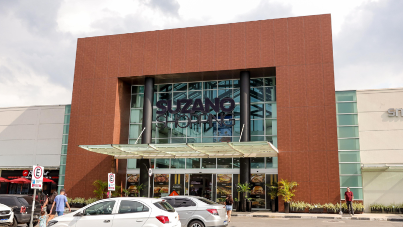 PMLL11 recicla portfólio e aumenta exposição em Suzano