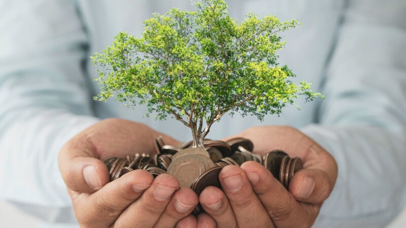 VGIR11 reduz resultado e mantém 99,8% em CRIs em dez/25