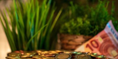 Saiba o valor dos dividendos do ALZR11 para janeiro