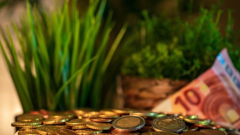 Saiba o valor dos dividendos do ALZR11 para janeiro