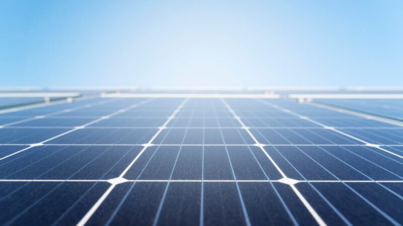 SNEL11 chega a 70 mil cotistas e se consolida em energia limpa