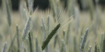 BTAL11 migra para Fiagro e inicia recompra de cotas